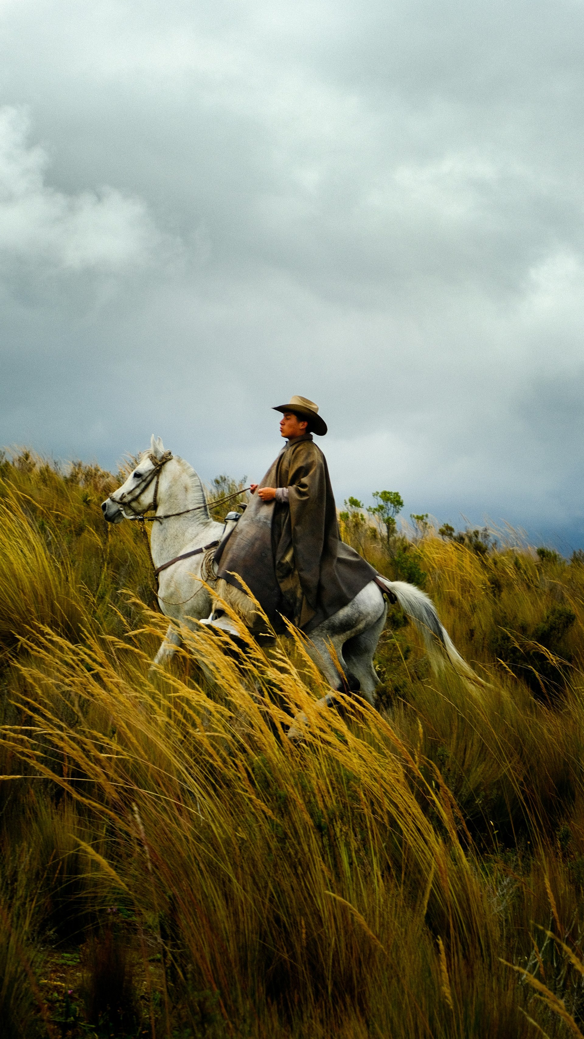 Ecuador Grand Adventure | Andes, Amazon and Volcano Journey