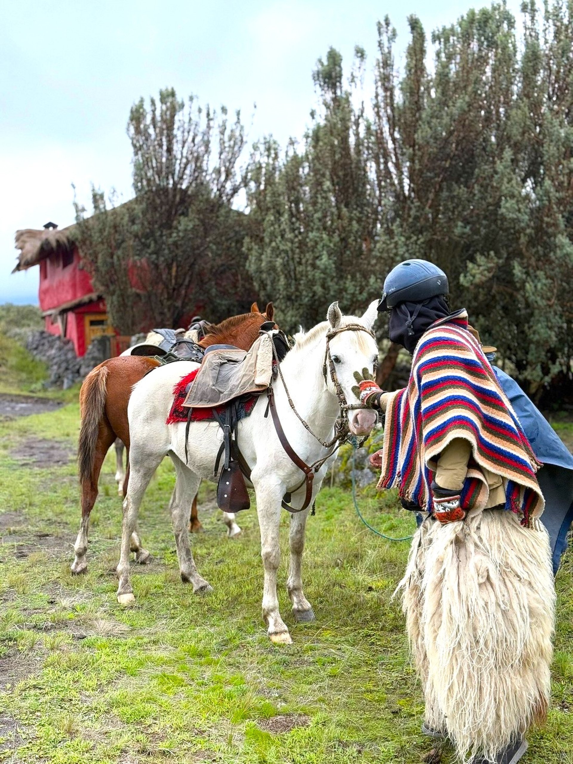 Chimborazo Horseback Riding | Andean Páramo Adventure